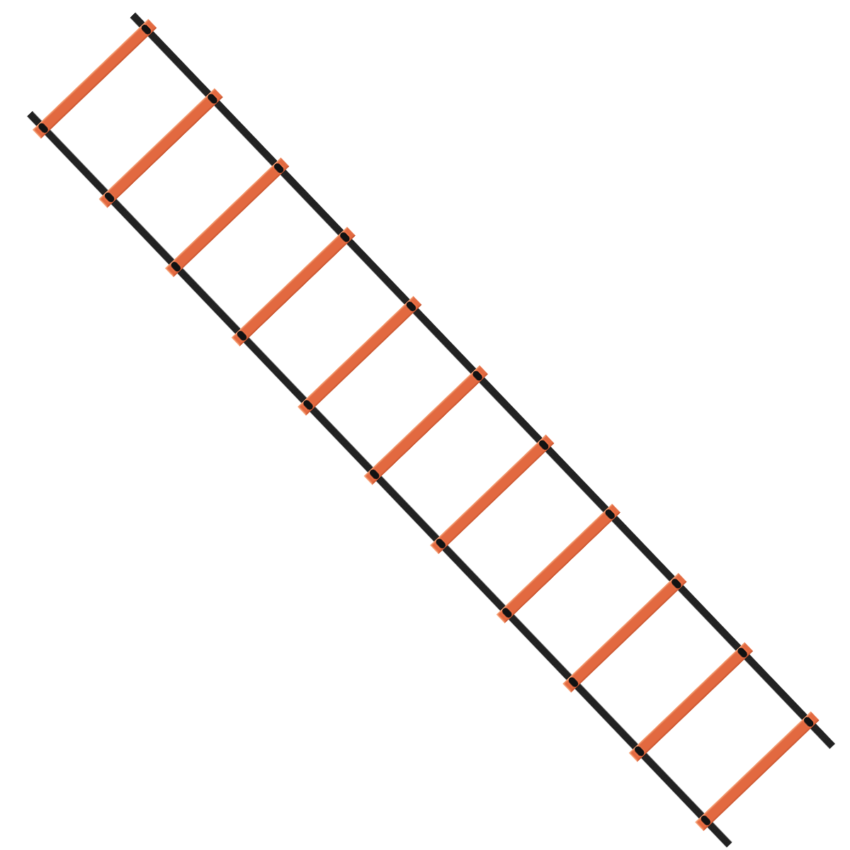 Durable 12 Rung Agility Ladder