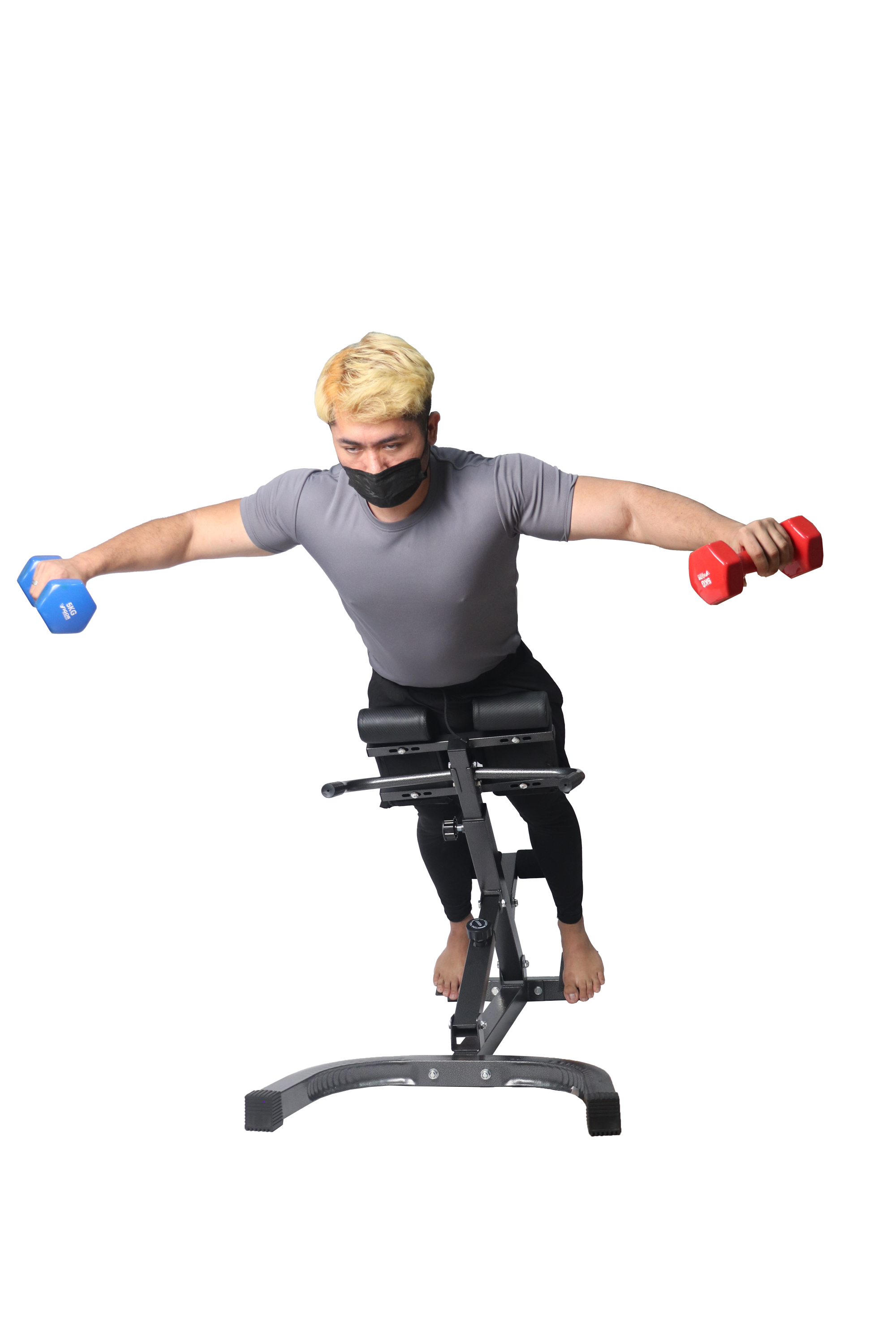 Roman Bench Hyper Back Extension MultiWorkout Abdominal Bench